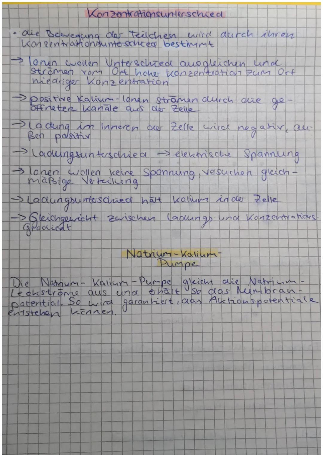 # Das Runeporential

• unter schiedlicne lonenverteilung sorge für's Membran-
potential

•Raheporential = wenn die Zelle in Rune ist

-70mV
