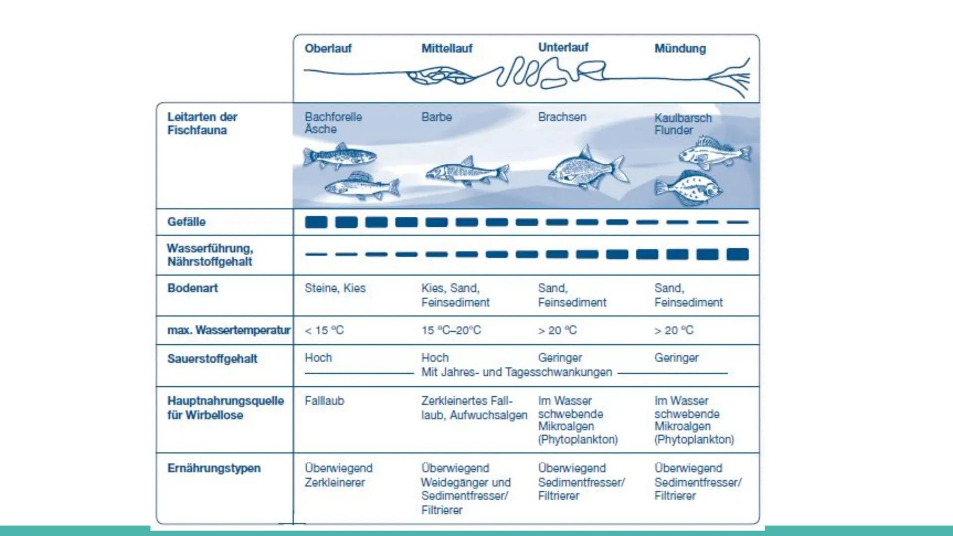 Ökosystem: Fließgewässer Inhaltsverzeichnis
●
Definition Fließgewässer
Aufbau von Fließgewässer
Die Gewässergüteklassen
Das Saprobienindex
•
