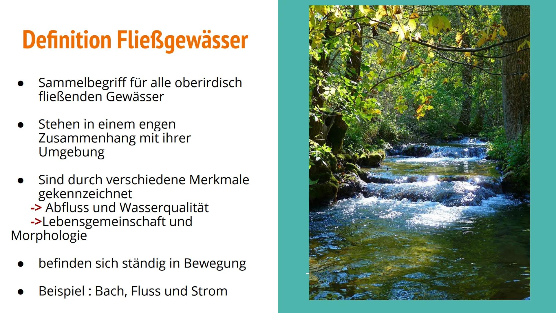 Ökosystem: Fließgewässer Inhaltsverzeichnis
●
Definition Fließgewässer
Aufbau von Fließgewässer
Die Gewässergüteklassen
Das Saprobienindex
•
