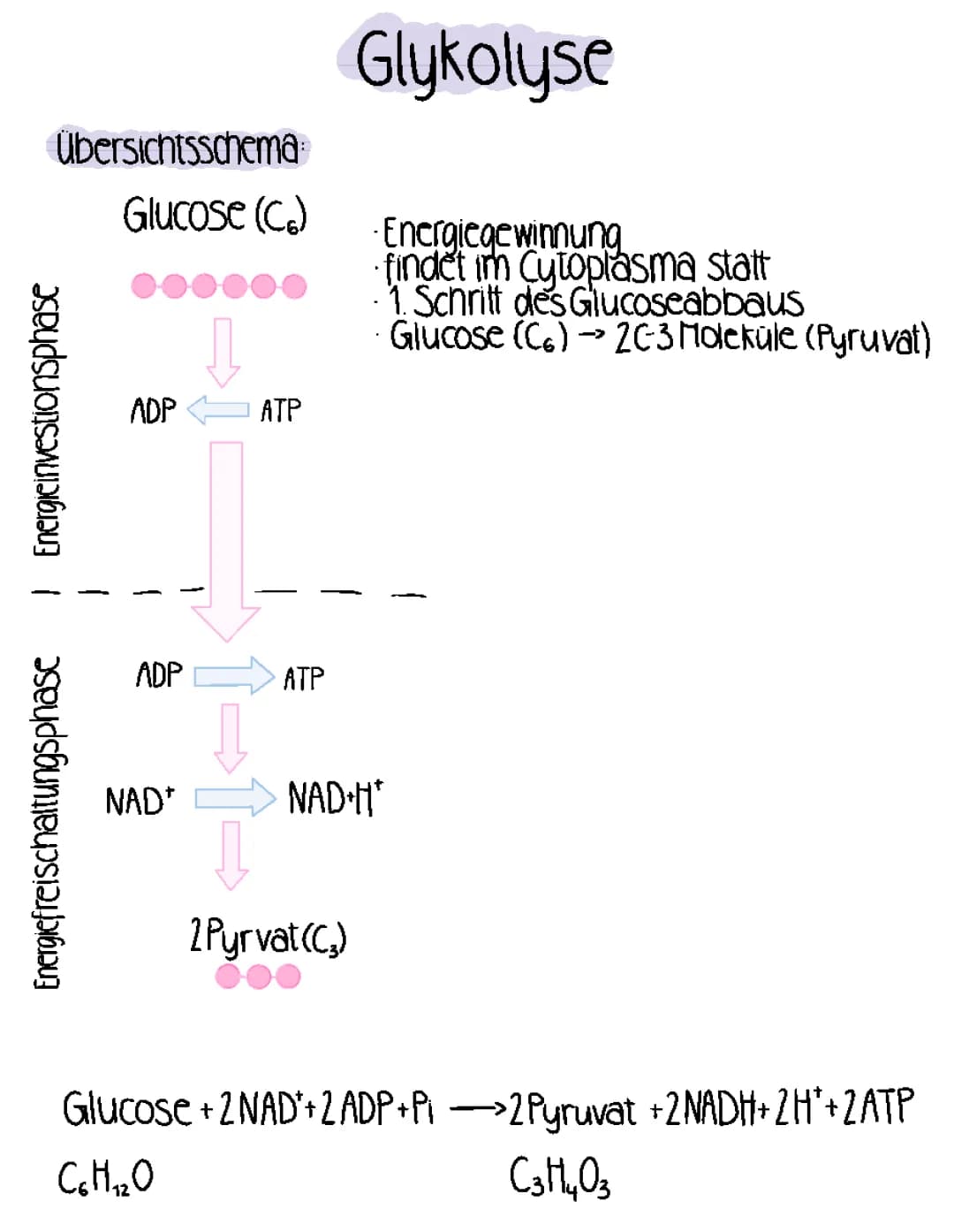 glykolyse