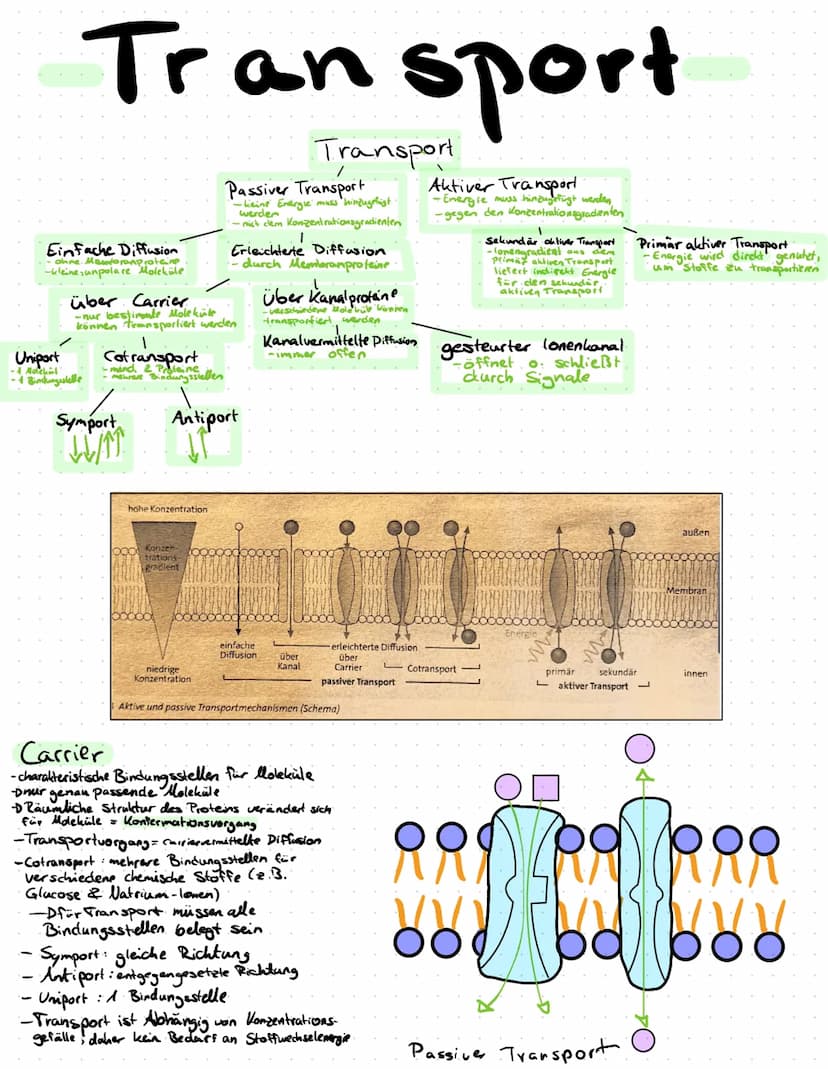 Aufbau der Biomembran
Chemische Grundlage : Lipide
polar.
Cholin
O.
H
H-C-O
O
H-C-O
O
CH, H H
H₂C-N-C-
N-C-C-O-P-O+C-H
||
CH₂ H H
O
H
T
T
T
