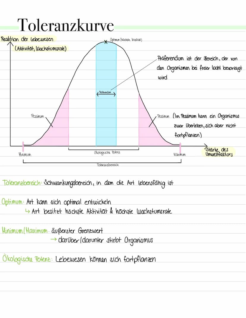 Toleranzkurve
gibt an, in welchem Ausmaß ein Organismus auf verschiedene
Konzentrationen eines Umweltfaktors reagiert
↳ Reaktion kann sich z