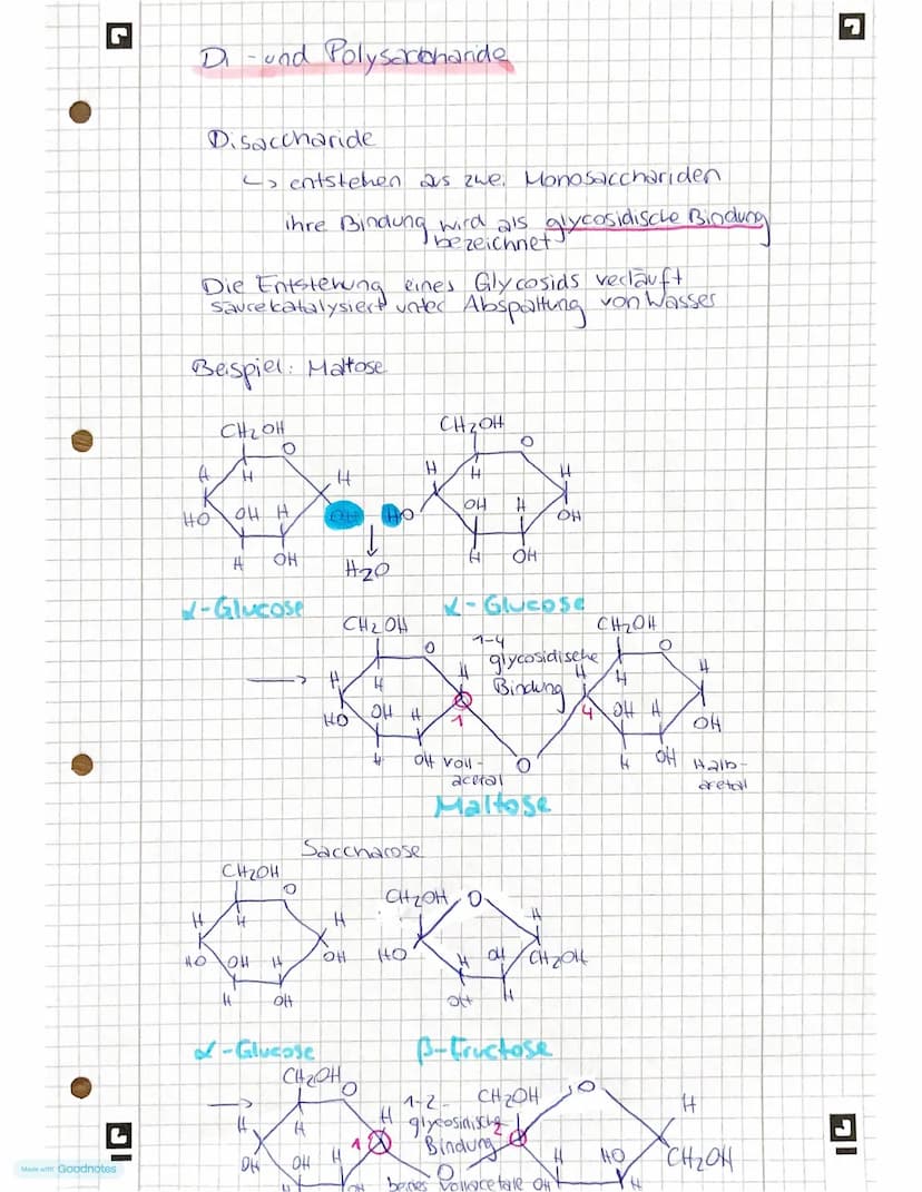 L
Made with Goodnotes
Kohlen
hydrate
& Peptide
- Monosaccharide
-Kohlenstoffatome mit Chiralitätszentren
-Fischer - Projection, Haworth - Pr