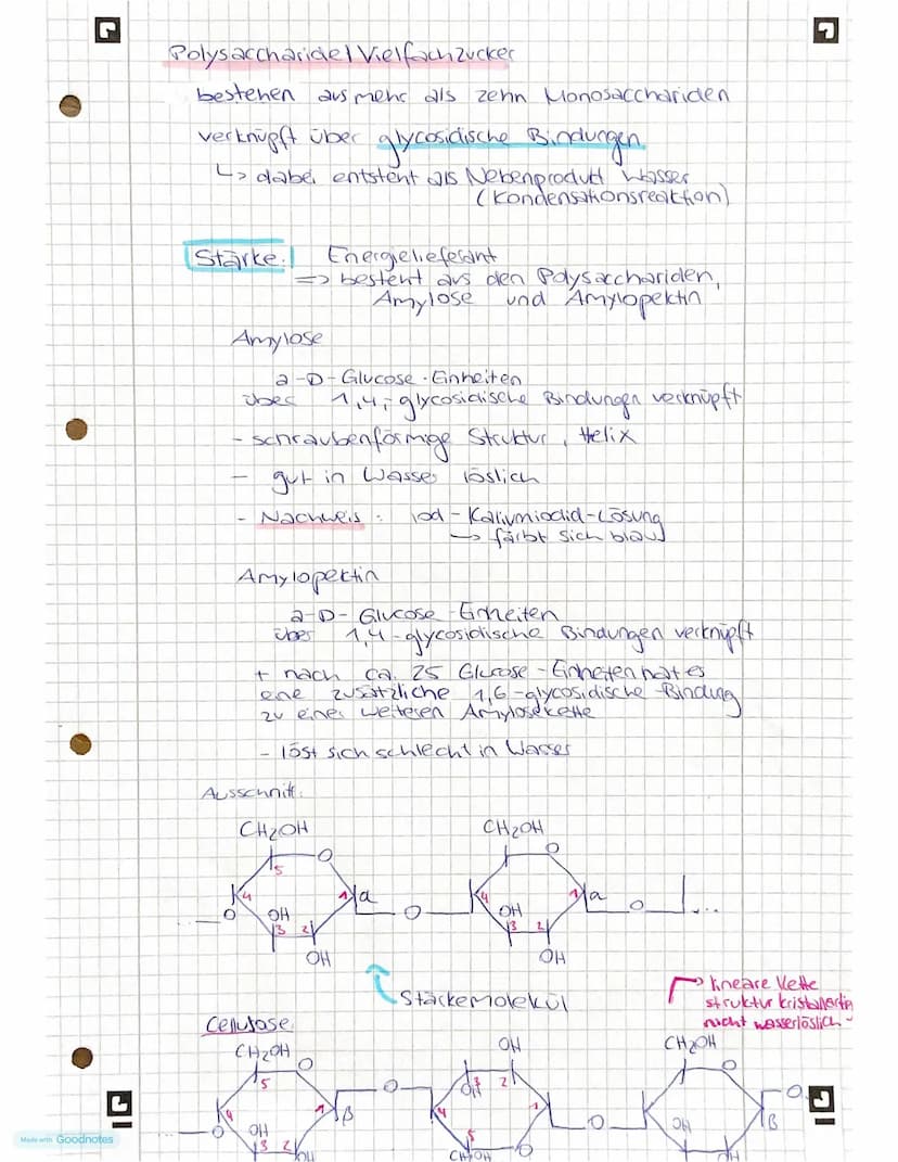 L
Made with Goodnotes
Kohlen
hydrate
& Peptide
- Monosaccharide
-Kohlenstoffatome mit Chiralitätszentren
-Fischer - Projection, Haworth - Pr