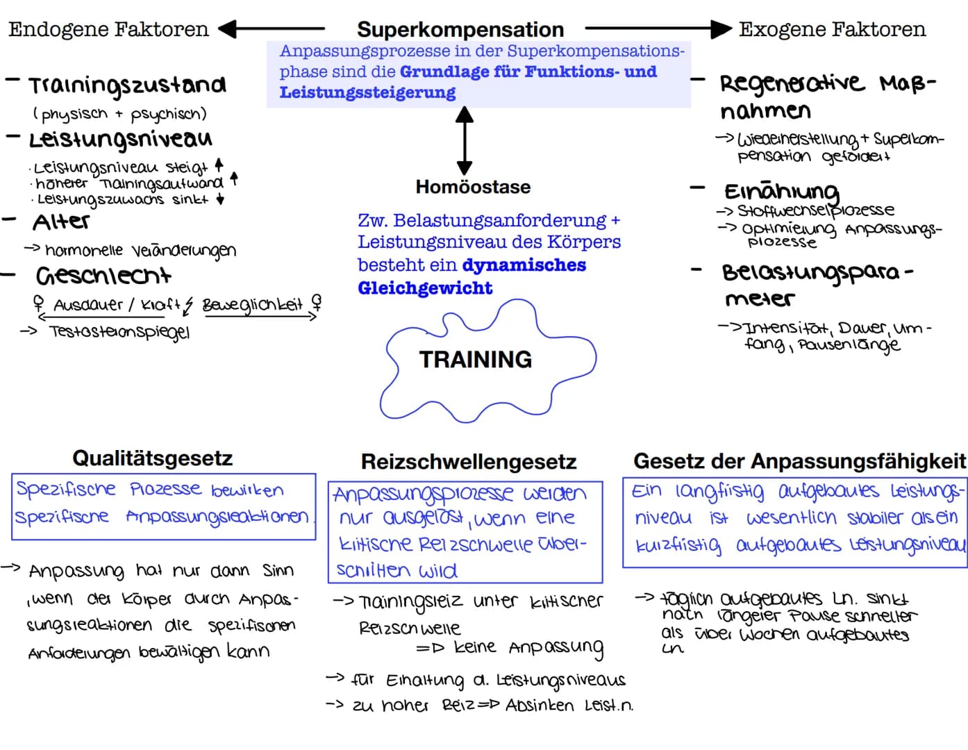 SPORT BUCH ZUSAMMENFASSUNG