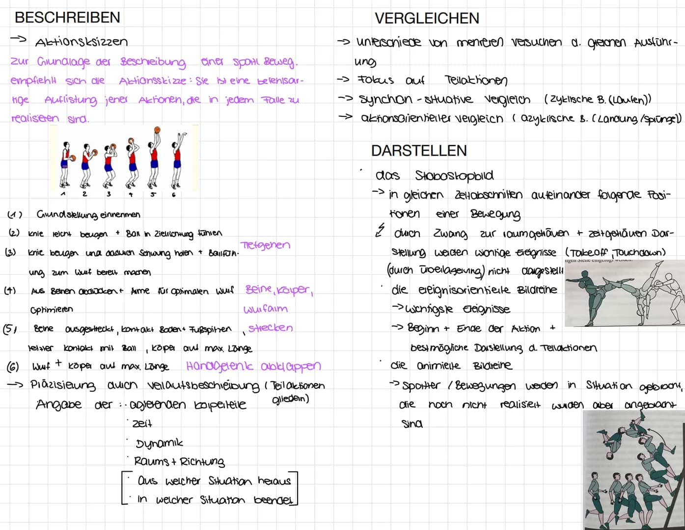 SPORT BUCH ZUSAMMENFASSUNG