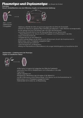 Know Plasmolyse und Deplasmolyse am Beispiel der Zwiebelzelle  thumbnail