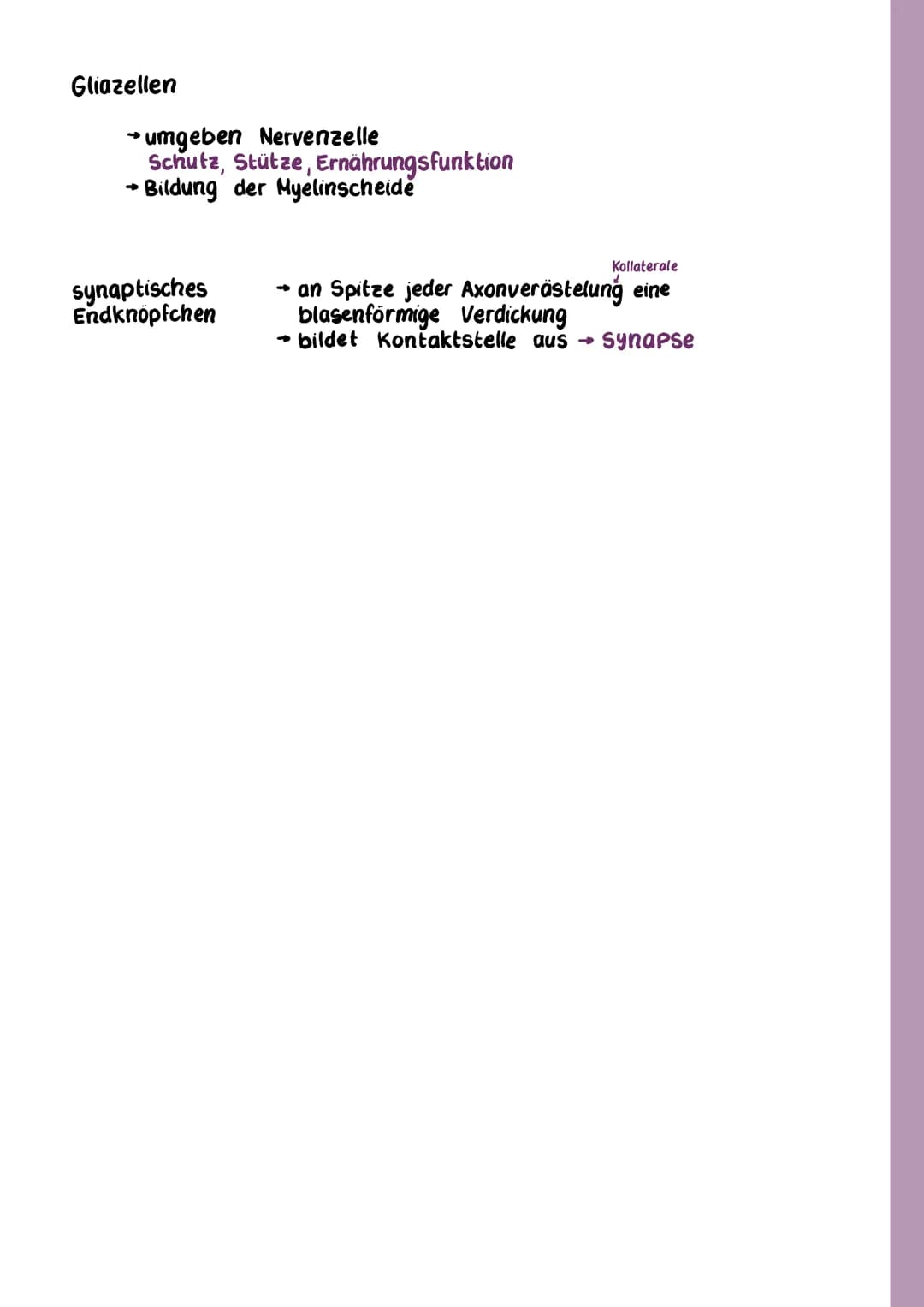 Aufbau Nervenzelle (Neuronen)
Grundelement des Nervensystems
→ Aufnahme, Weiterleitung & Übertragung von Signalen
teilw. über einen Heter
ex