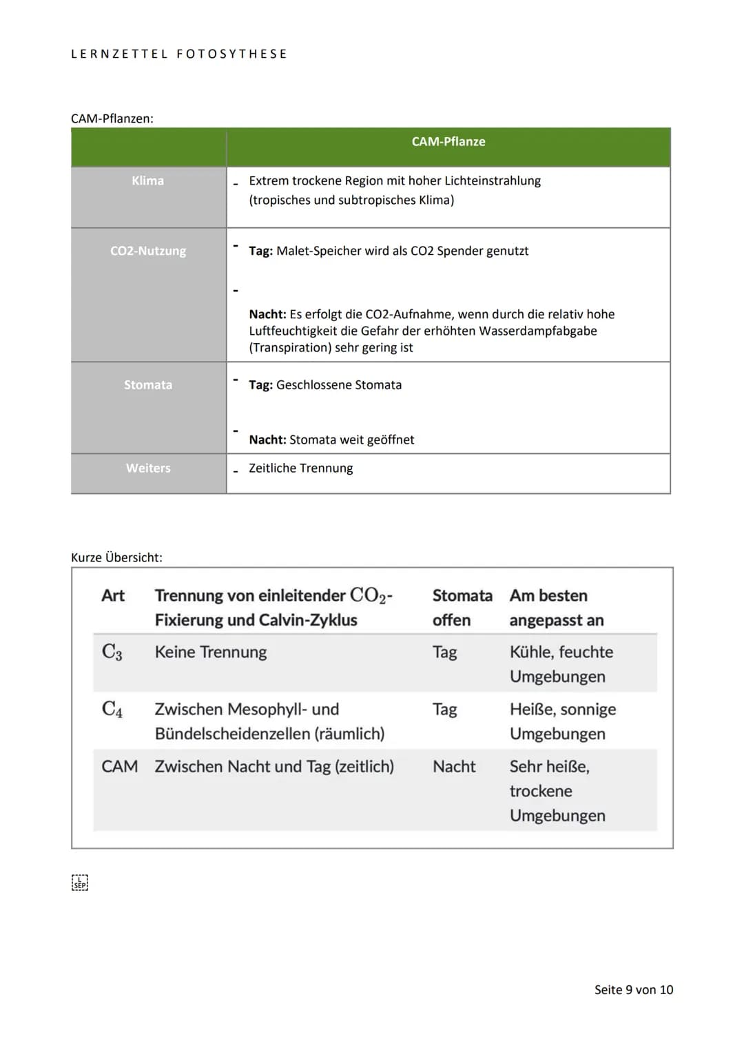 LERNZETTEL FOTOSYTHESE
BLATTAUFBAU
Sonnen- und Schattenblatt im Vergleich:
Schattenblatt
Sonnenblatt
Angepasst an:
Dicke
Fläche
Fotosynthese