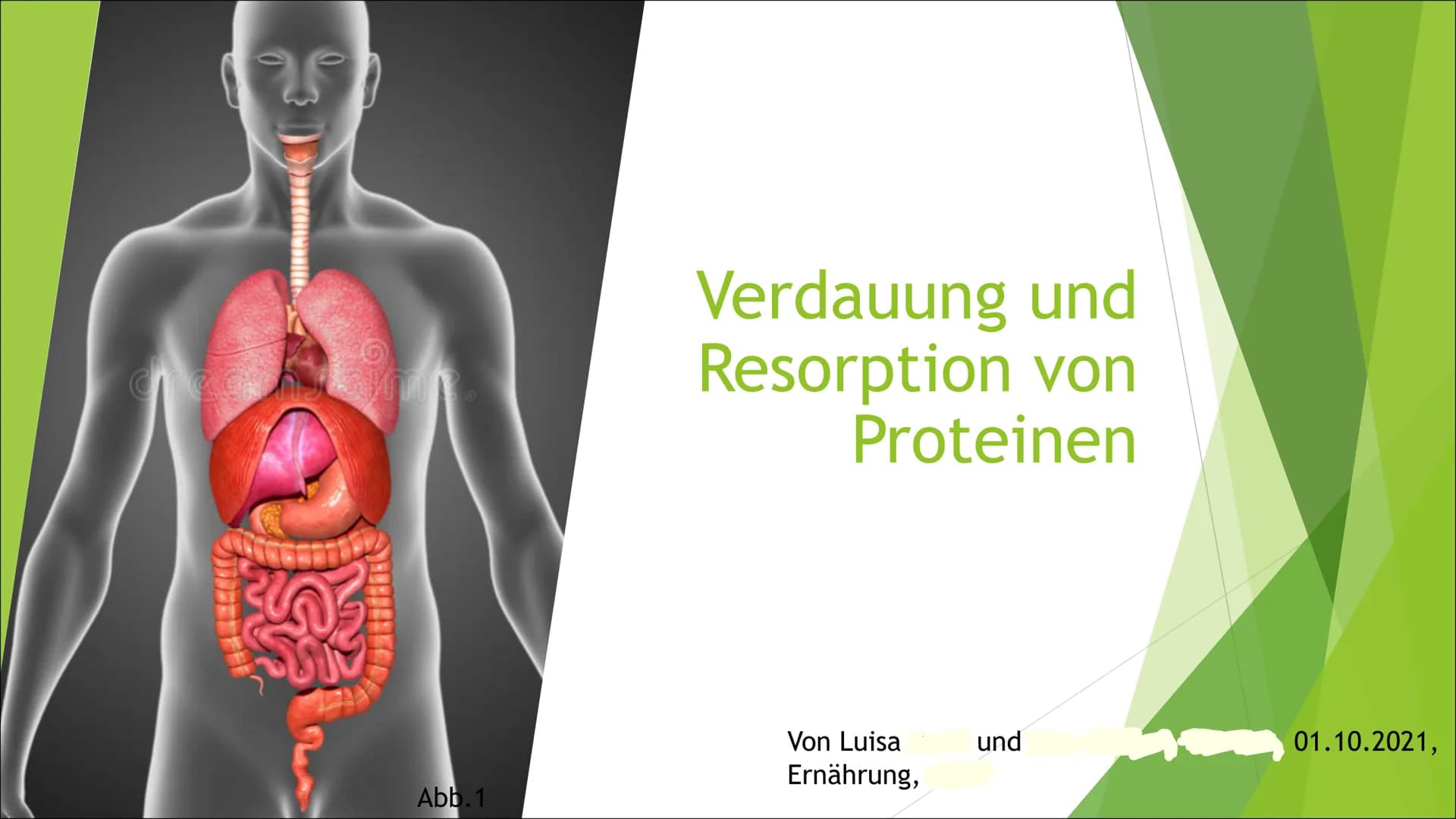 Abb.1
Verdauung und
Resorption von
Proteinen
Von Luisa
Ernährung,
und
01.10.2021, Inhaltsangabe
► Allgemeines über die Verdauung von Protein