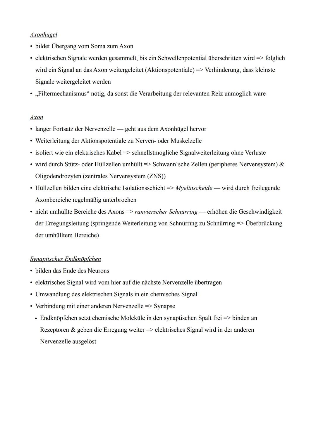Nervenzellen (Neuronen)
• verantwortlich für die Reizweiterleitung im menschlichen Körper
• Aufnahme, Weiterleitung & Verarbeitung aller Rei