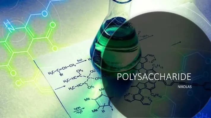 Know Polysaccharide PowerPoint  thumbnail