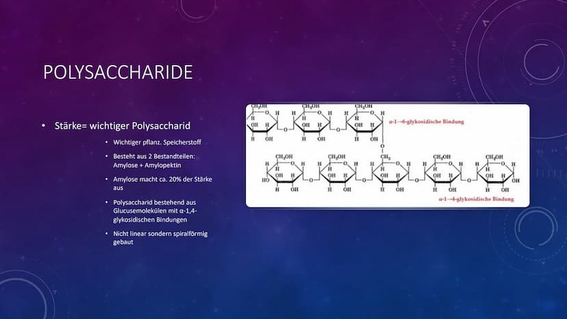 IZ
CL
H₂C-C=CH-CH₂
Br
H
CH₂
H₂C-HC=COU
H₂C-HC=C
TSCH
-H₂O
CH₂
Me
CH₂ CH₂
Me
Me
H
CH₁3
POLYSACCHARIDE
CH13
NIKOLAS
CH. KOHLENHYDRATE
Stoffebe