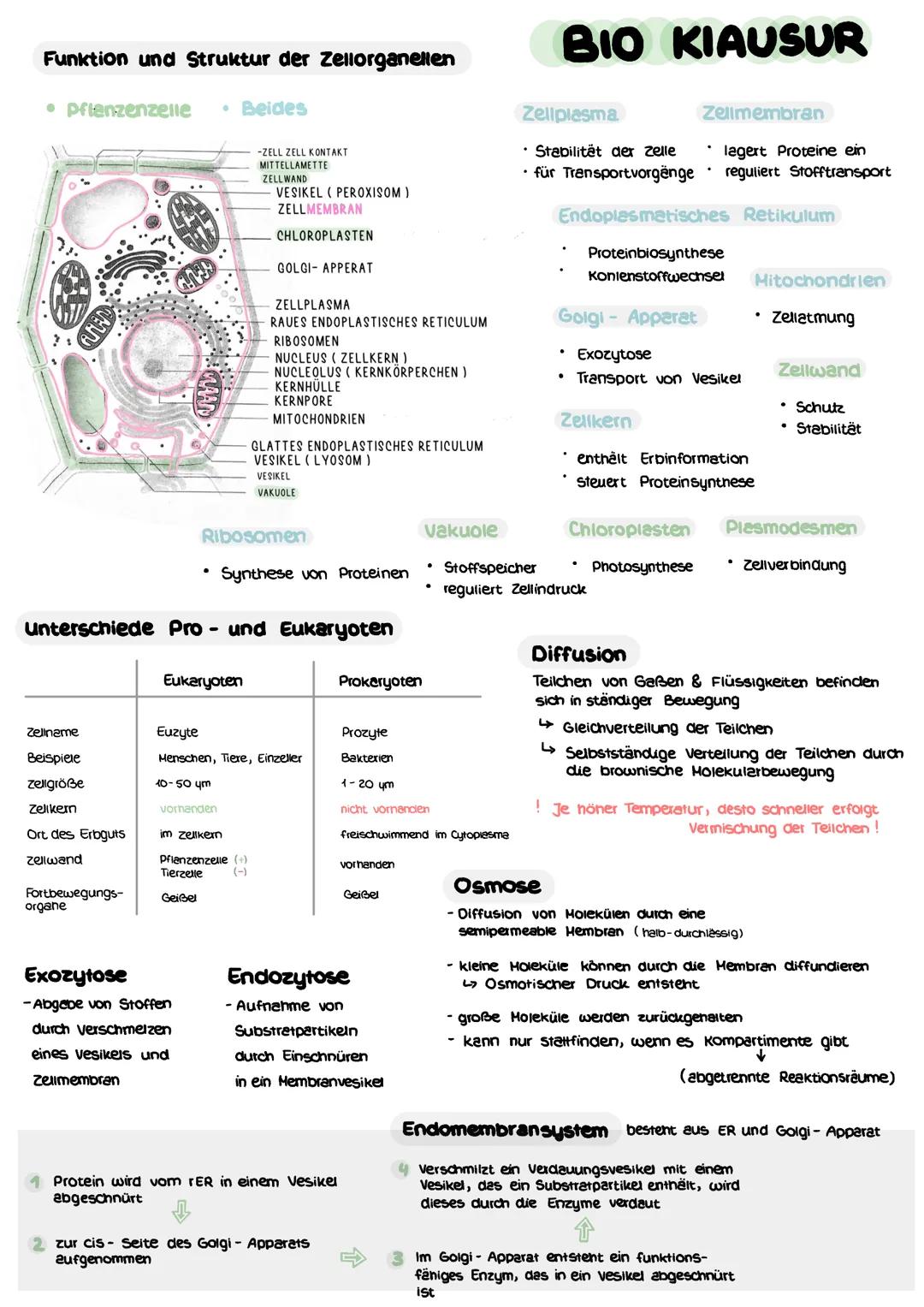 Funktion und Struktur der Zellorganelien

• prienzenzelle

Beides

-ZELL ZELL KONTAKT
MITTELLAMETTE
ZELLWAND
VESIKEL (PEROXISOM)
ZELLMEMBRAN
