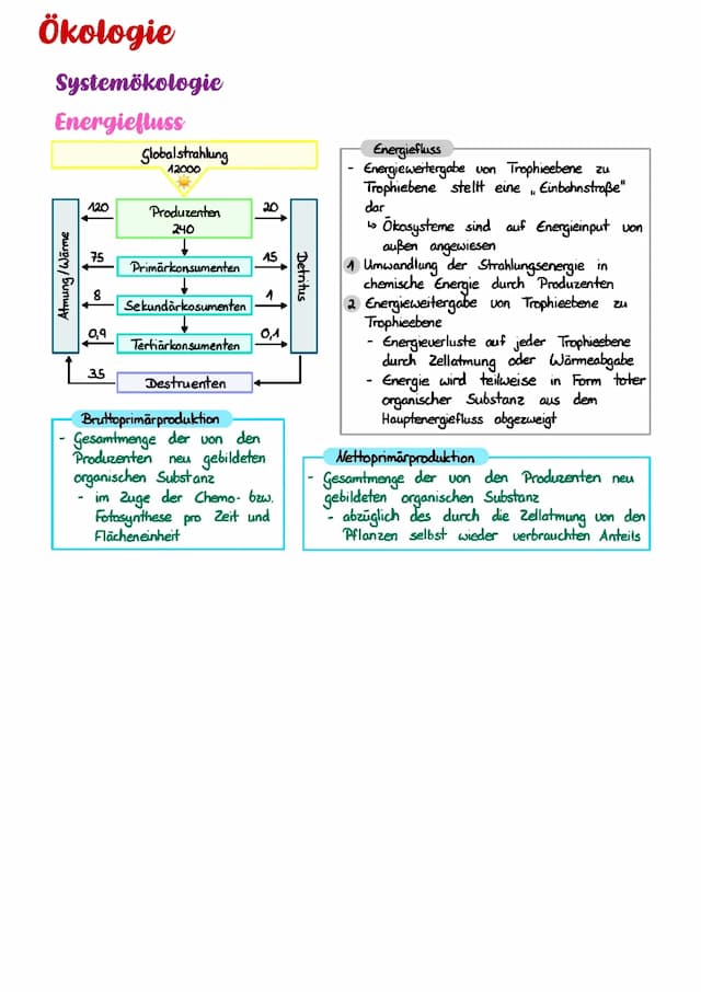 Know Energiefluss  thumbnail