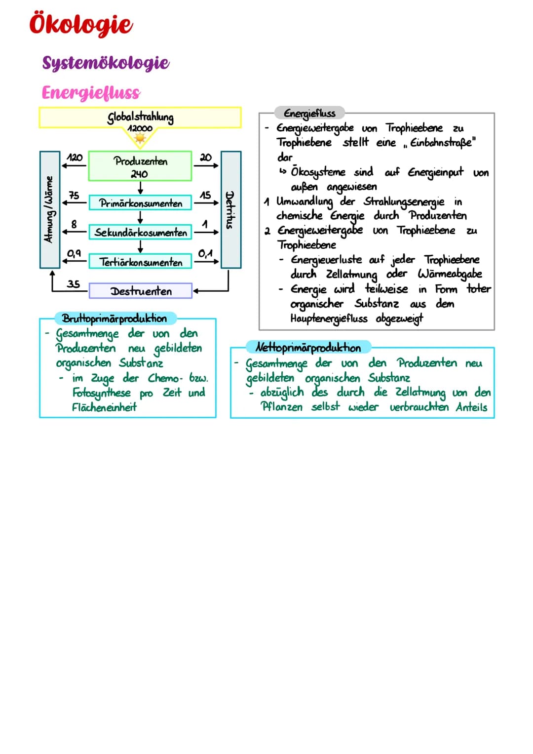 Ökologie
Systemökologie
Energiefluss
Atmung/Warme
120
-
75
8
0,9
3.5
Globalstrahlung
12000
Produzenten
240
Primārkonsumenten
Sekundärkosumen