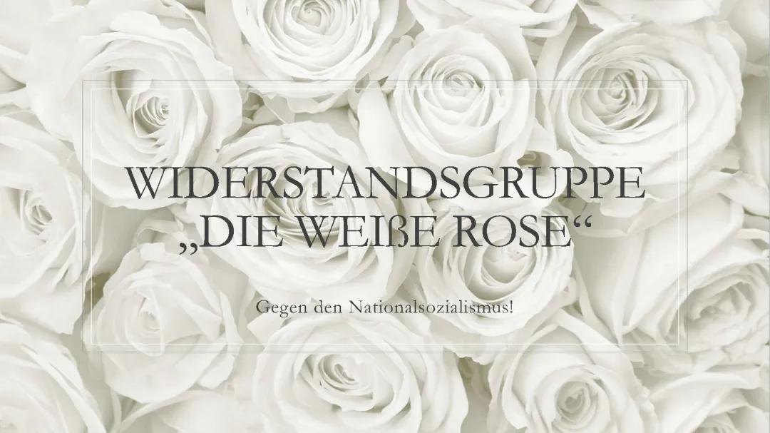 Die Weiße Rose: Widerstandsgruppe und ihre Mitglieder