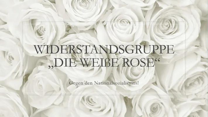 Know Präsentation weiße Rose  thumbnail