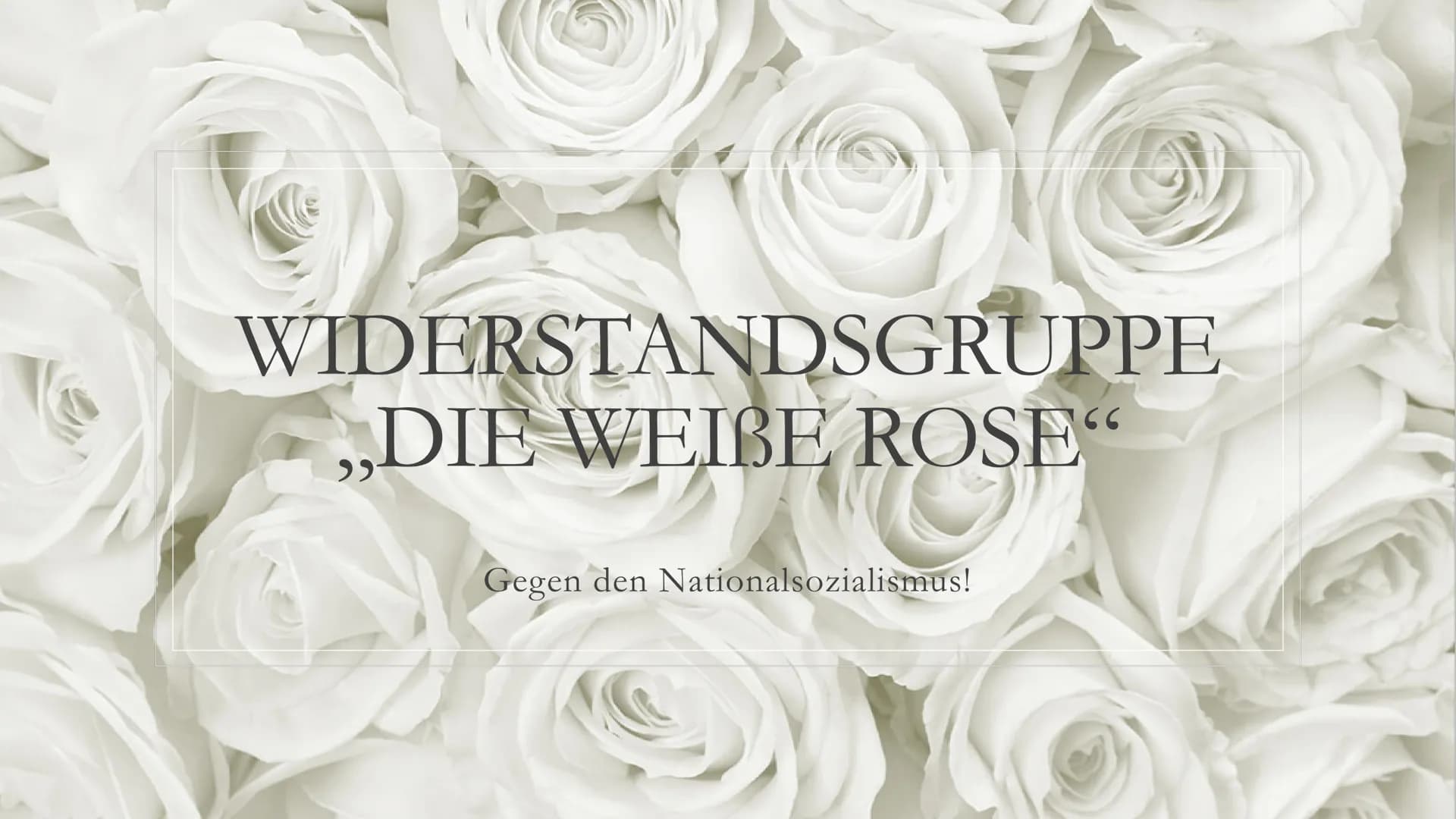 WIDERSTANDSGRUPPE
DIE WEIBE ROSE"
,,
Gegen den Nationalsozialismus! ●
●
●
Inhalt:
Hintergrund
Beginn des Widerstandes
Mitglieder
●
●
Kurt Hu