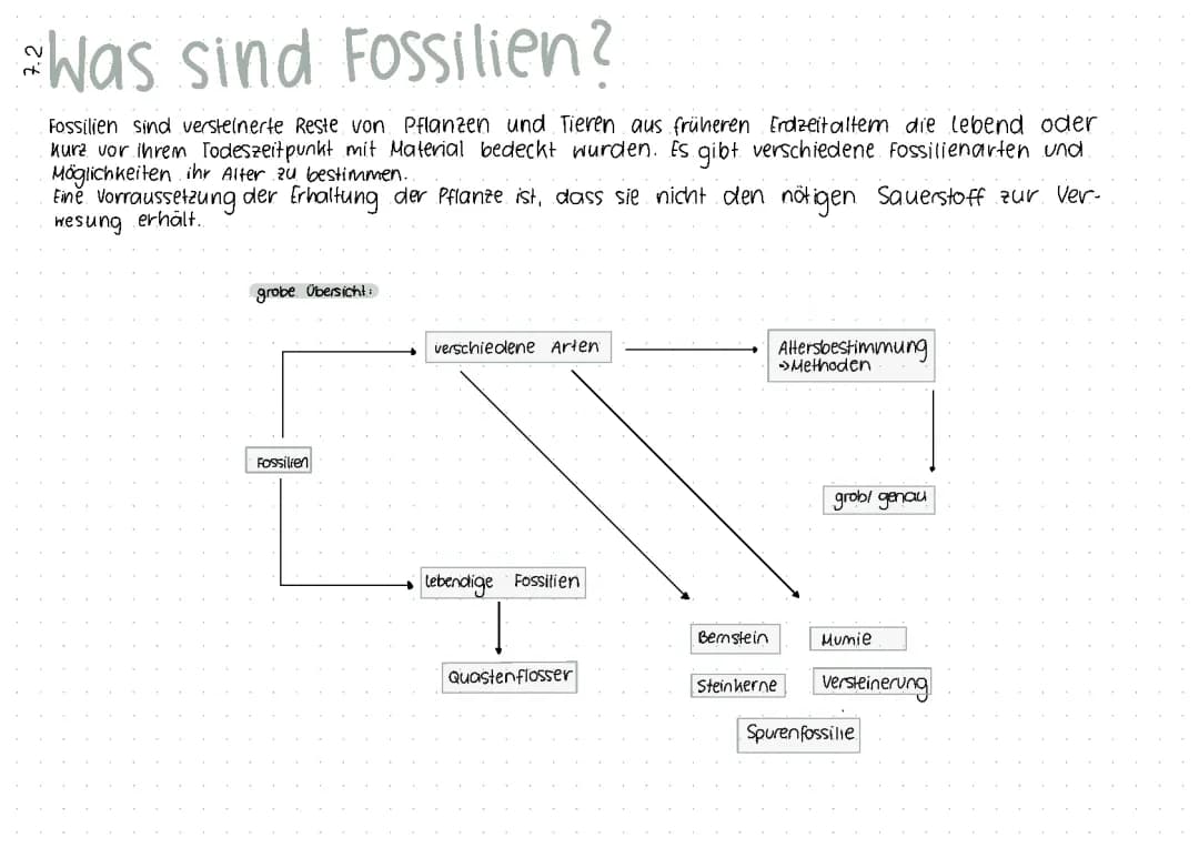 Evulotion, Fossilien