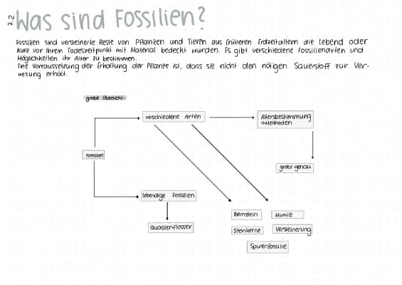 Know Evulotion, Fossilien thumbnail