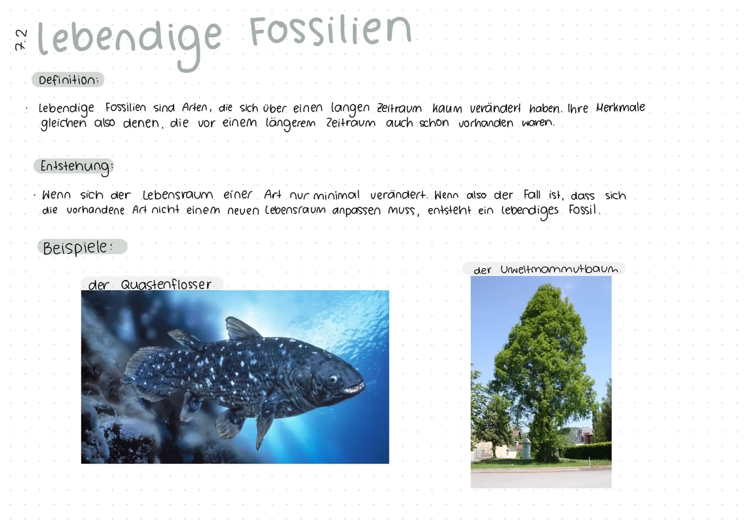 Was sind Fossilien?
Fossilien sind versteinerte Reste von Pflanzen und Tieren aus früheren Erdzeitaltern die lebend oder
kurz vor ihrem Tode