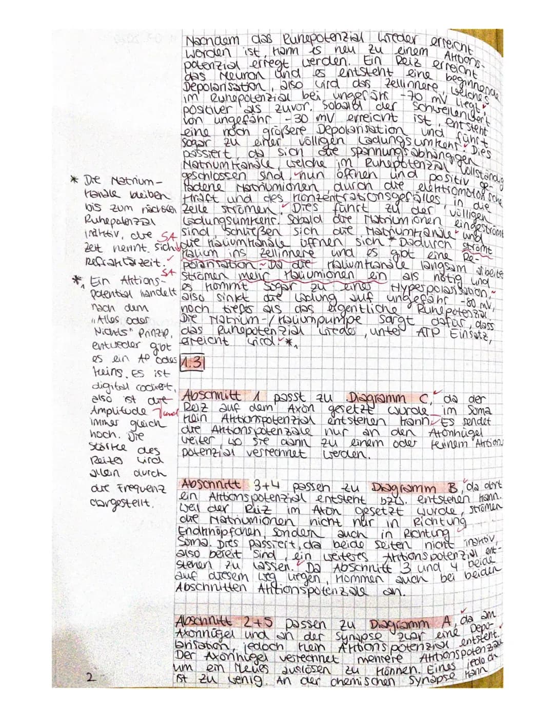 1.1
Denbrit
soma
1.2
+40mV+
430mV
+20 mv
+10 my
-10 mV
- 20mV
-30 mV
-40 mV+
SOMV
-60 mV
-DmVt
-80 mV
1. Bio klausur Q2
U
Zellkem
^
Membranp