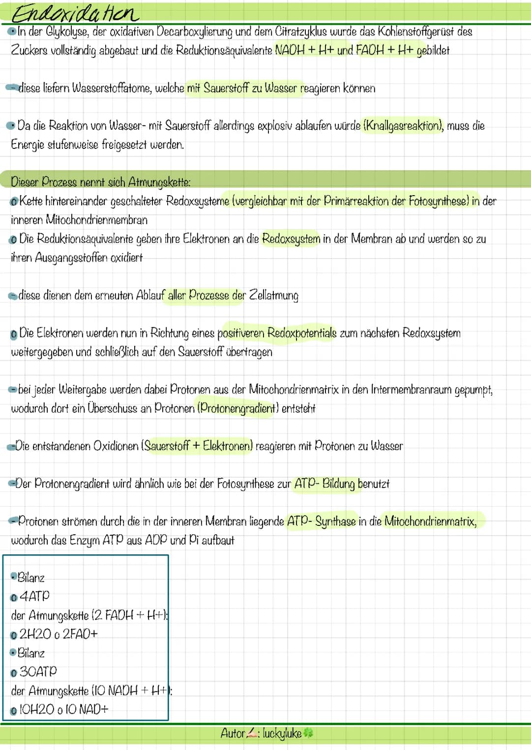 Zellatmung für Kinder: Wie viel ATP entsteht bei der Atmungskette?