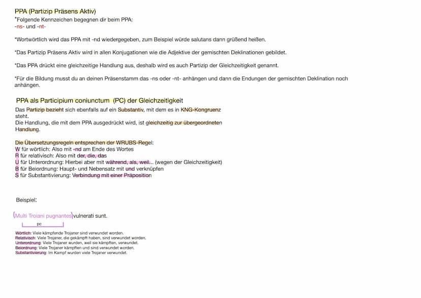 PPP (Partizip Perfekt Passiv)
*Folgende Endungen begegnen dir beim PPP:
-tus, -ta, -tum oder -sus, -sa, -sum
*Wortwörtlich wird das PPP mit 