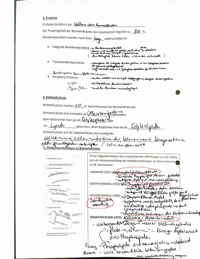Lipide
Lipide bezeichnet die Gesamtheit aller Fette und fettähnlichen
Substanzen.
Sie sind ein Hauptbauelement von Biomembranen.
Als wichtig