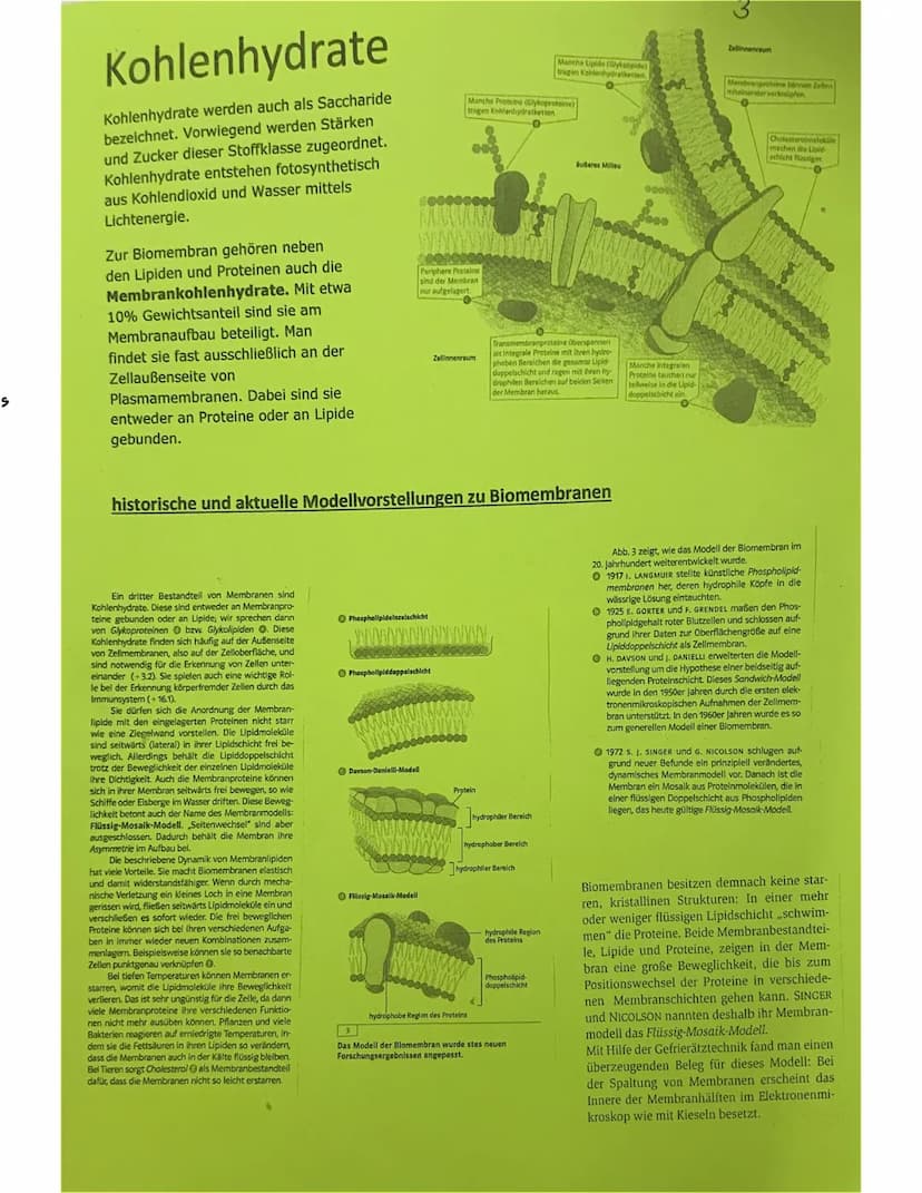 Lipide
Lipide bezeichnet die Gesamtheit aller Fette und fettähnlichen
Substanzen.
Sie sind ein Hauptbauelement von Biomembranen.
Als wichtig