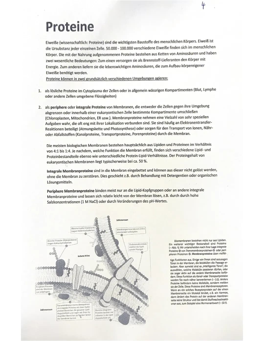 Lipide
Lipide bezeichnet die Gesamtheit aller Fette und fettähnlichen
Substanzen.
Sie sind ein Hauptbauelement von Biomembranen.
Als wichtig
