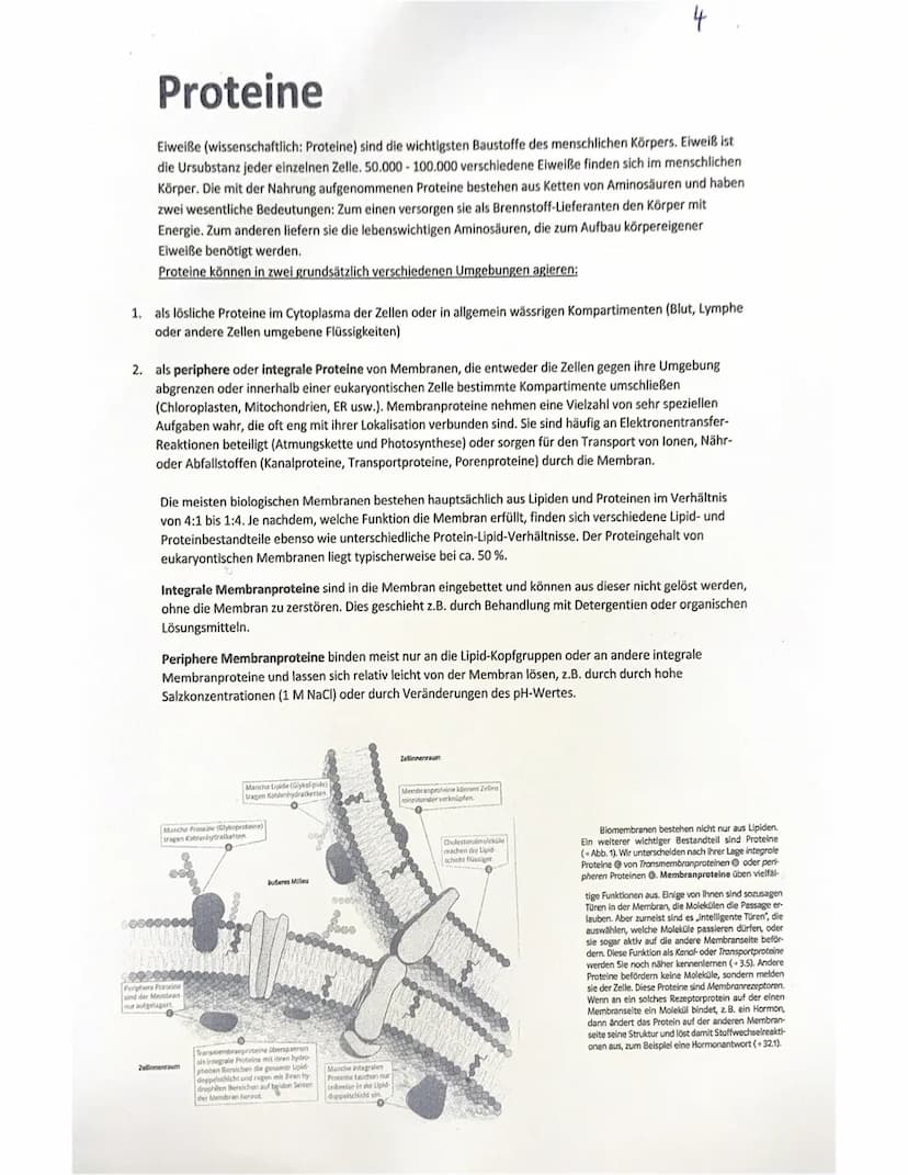 Lipide
Lipide bezeichnet die Gesamtheit aller Fette und fettähnlichen
Substanzen.
Sie sind ein Hauptbauelement von Biomembranen.
Als wichtig
