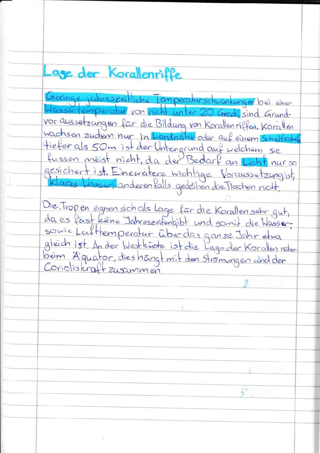 Korallenriffe: Aufbau, Entstehung, Arten und Klimawandel