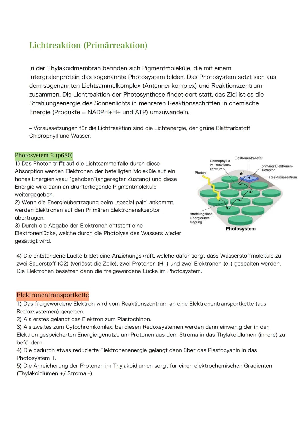 Themen zur Klausur am 30.03.2021
1. Blattaufbau & Funktion (Spaltöffnungen, Schwammgewebe, etc.)
Hinweis: Nicht Klausur- aber Abiturrelveant