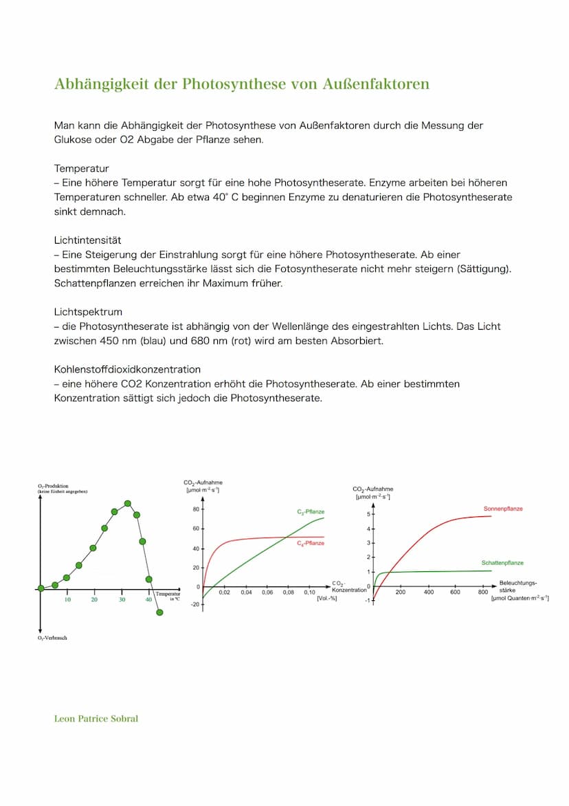 Themen zur Klausur am 30.03.2021
1. Blattaufbau & Funktion (Spaltöffnungen, Schwammgewebe, etc.)
Hinweis: Nicht Klausur- aber Abiturrelveant