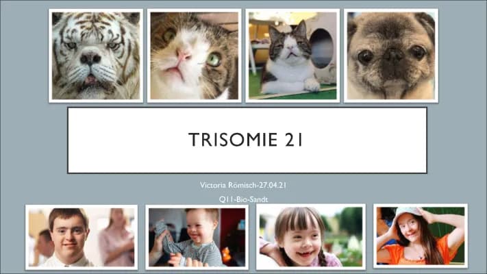 Know Trisomie 21-Downsyndrom thumbnail