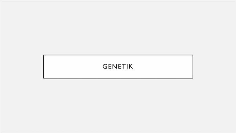 TRISOMIE 21
Victoria Römisch-27.04.21
QII-Bio-Sandt I. Grundlegendes
o Downsyndrom
o Symptomatik
o Auswirkungen
2. Genetik
o Das dritte Chro