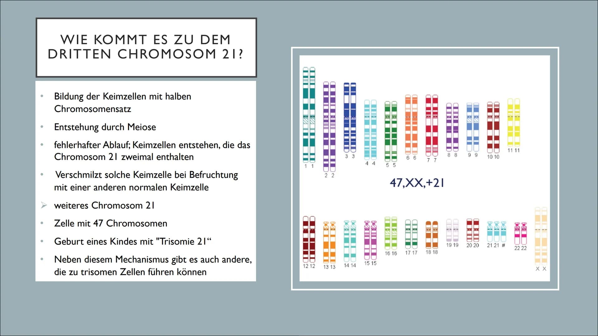 TRISOMIE 21
Victoria Römisch-27.04.21
QII-Bio-Sandt I. Grundlegendes
o Downsyndrom
o Symptomatik
o Auswirkungen
2. Genetik
o Das dritte Chro