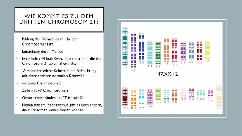 TRISOMIE 21
Victoria Römisch-27.04.21
QII-Bio-Sandt I. Grundlegendes
o Downsyndrom
o Symptomatik
o Auswirkungen
2. Genetik
o Das dritte Chro