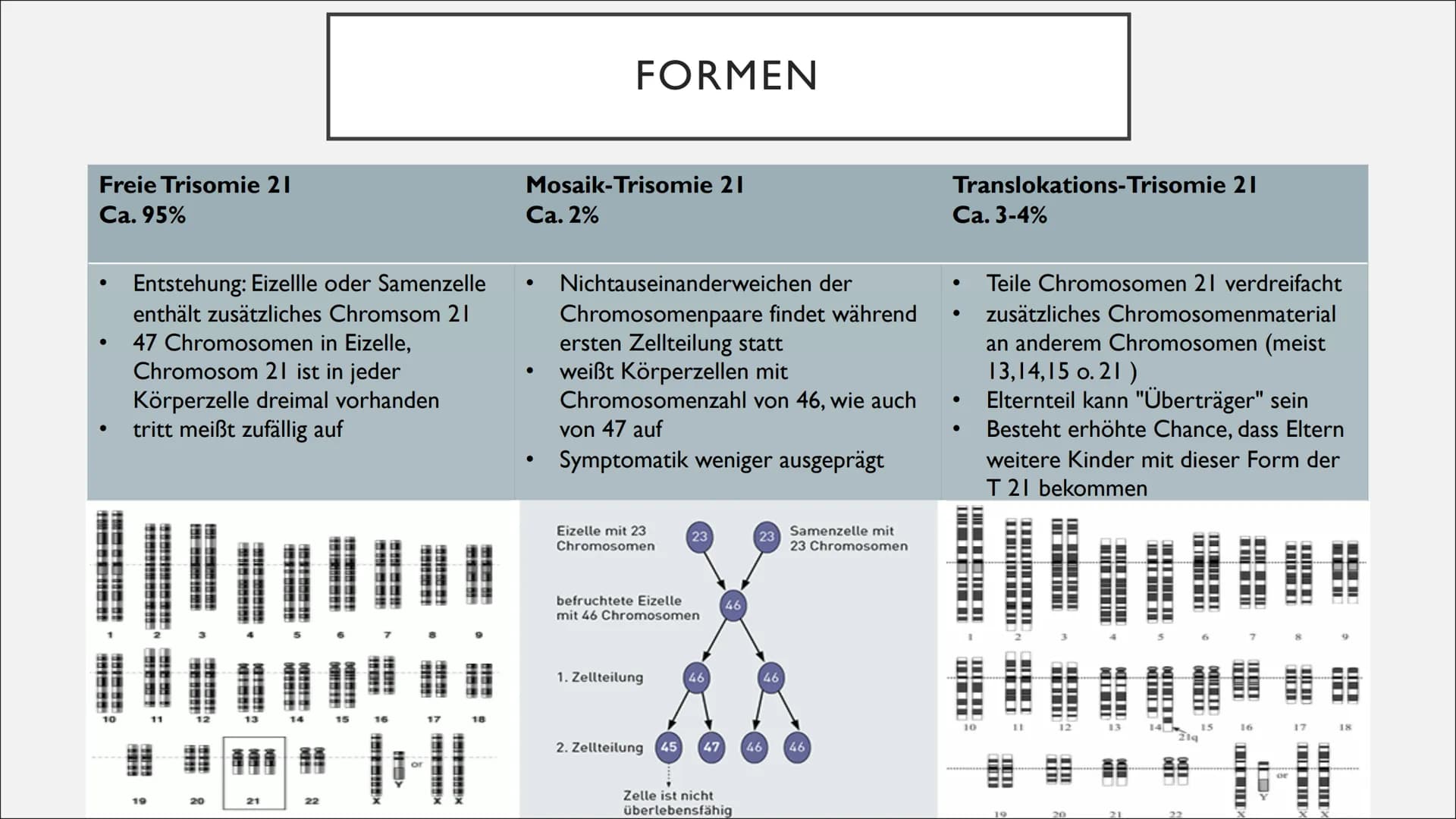 TRISOMIE 21
Victoria Römisch-27.04.21
QII-Bio-Sandt I. Grundlegendes
o Downsyndrom
o Symptomatik
o Auswirkungen
2. Genetik
o Das dritte Chro