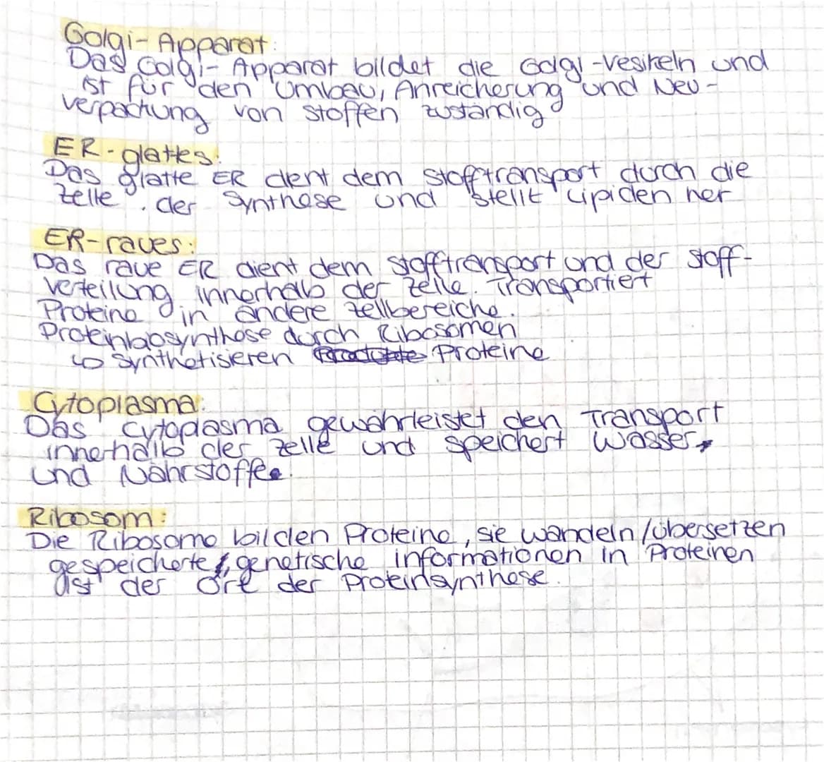 Tierische Zellen
aufbau der Tierischen Zelle
Endoplasmatisches
Reticulum
(raves)
Ribosome.
Endoplasmatisches
Leticulom
(glattes)
WA
Lysosome