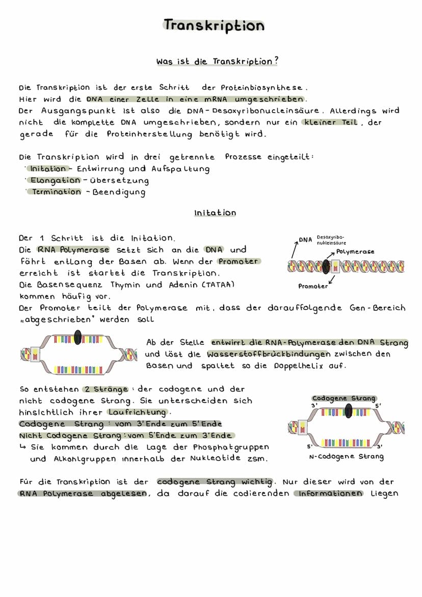 Proteinbiosynthese
Was ist das?
Proteinbiosynthese ist der Weg vom Gen zum hergestellten Protein, das
entschlüsseln des genetischen Codes.
A
