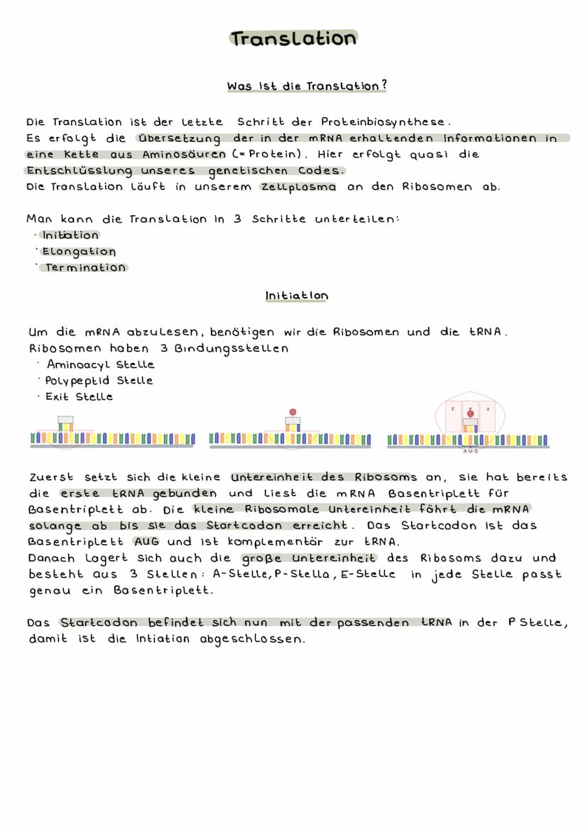 Proteinbiosynthese
Was ist das?
Proteinbiosynthese ist der Weg vom Gen zum hergestellten Protein, das
entschlüsseln des genetischen Codes.
A