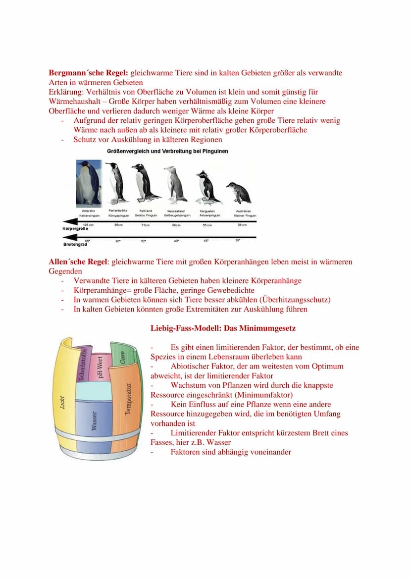 Ökologie
Grundbegriffe
Biosphäre: Gesamtheit aller Ökosysteme
Ökosystem: funktionelle Einheit aus Biotop und Biozönose
Biotop: geografisch a