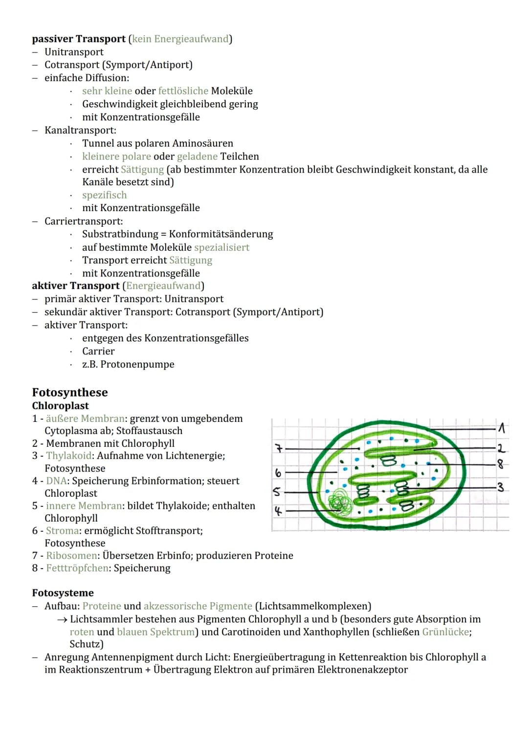 Cytologie
Zellorganelle
Cytoplasma (Reaktionsraum)
BIOLOGIE
Endomembransystem:
gER (Fettspeicherung)
Golgi-Apparat (empfangen und
senden von