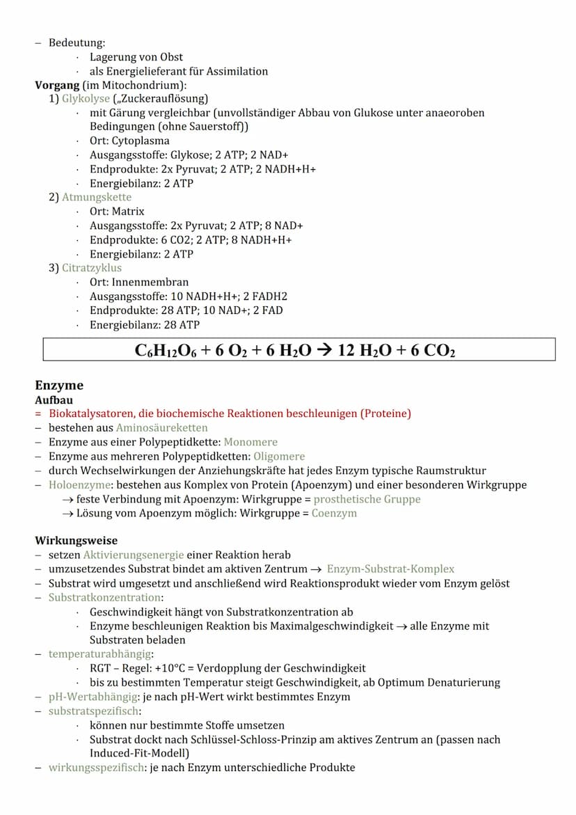 Cytologie
Zellorganelle
Cytoplasma (Reaktionsraum)
BIOLOGIE
Endomembransystem:
gER (Fettspeicherung)
Golgi-Apparat (empfangen und
senden von