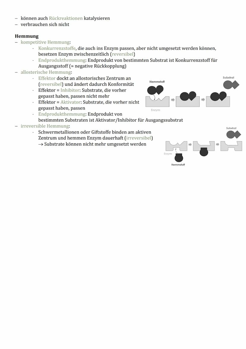Cytologie
Zellorganelle
Cytoplasma (Reaktionsraum)
BIOLOGIE
Endomembransystem:
gER (Fettspeicherung)
Golgi-Apparat (empfangen und
senden von