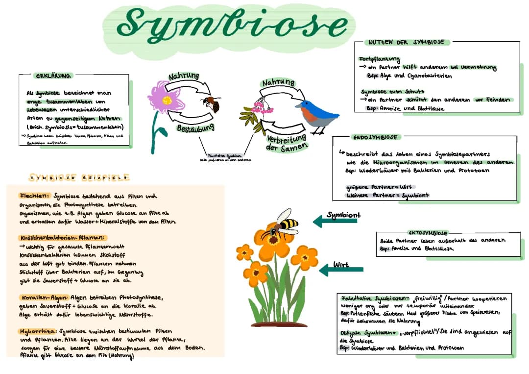 Symbiose  
