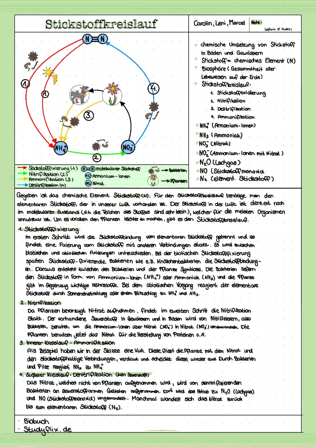 Stickstoffkreislauf